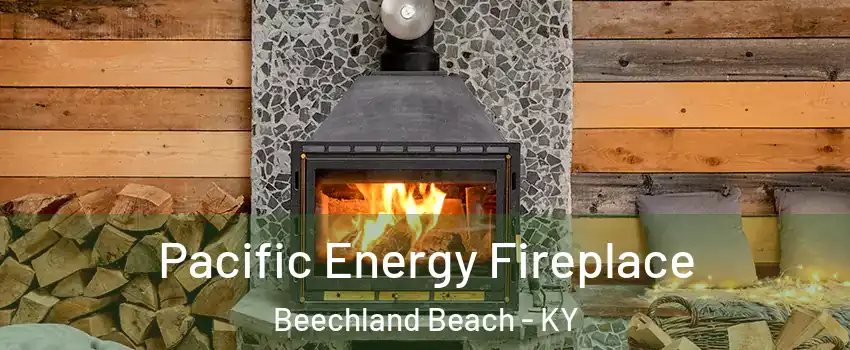 Pacific Energy Fireplace Beechland Beach - KY