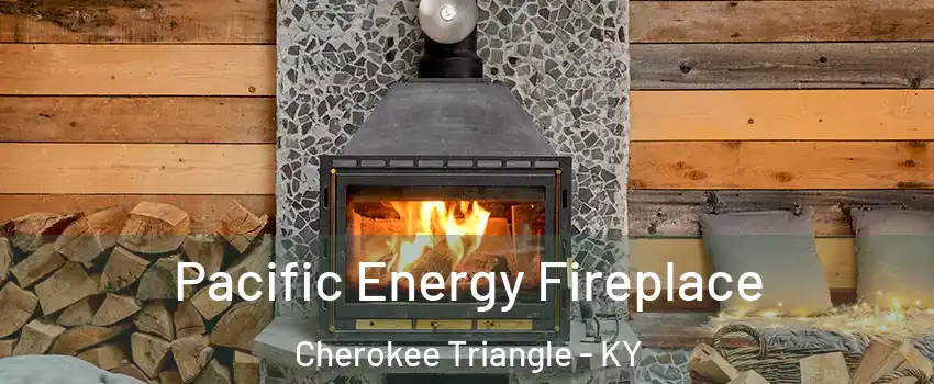 Pacific Energy Fireplace Cherokee Triangle - KY
