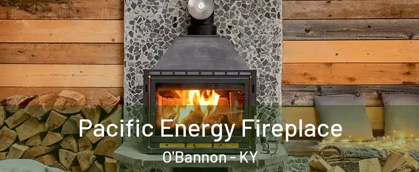 Pacific Energy Fireplace O'Bannon - KY