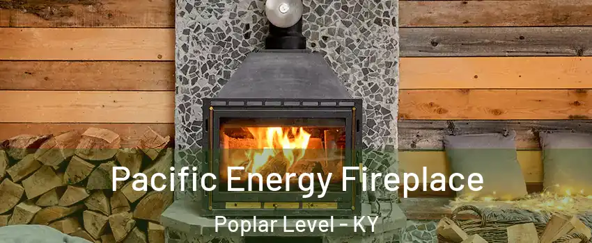 Pacific Energy Fireplace Poplar Level - KY