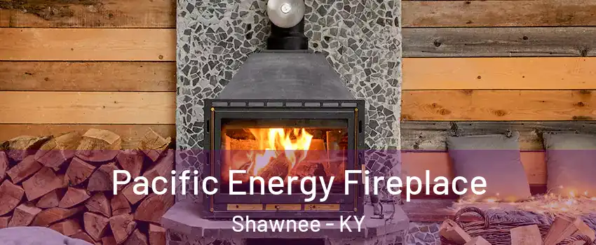 Pacific Energy Fireplace Shawnee - KY