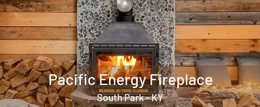 Pacific Energy Fireplace South Park - KY