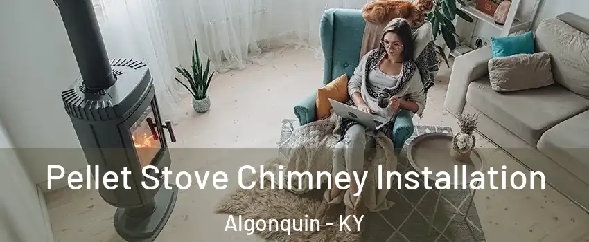 Pellet Stove Chimney Installation Algonquin - KY