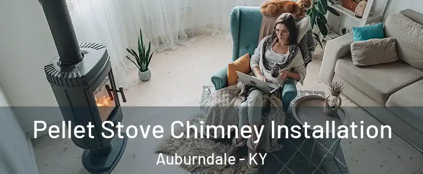 Pellet Stove Chimney Installation Auburndale - KY
