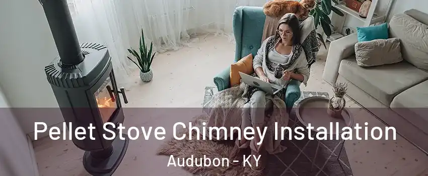 Pellet Stove Chimney Installation Audubon - KY