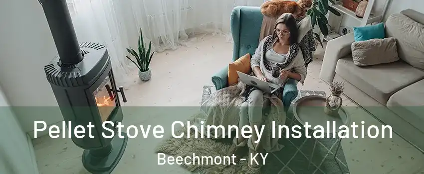 Pellet Stove Chimney Installation Beechmont - KY
