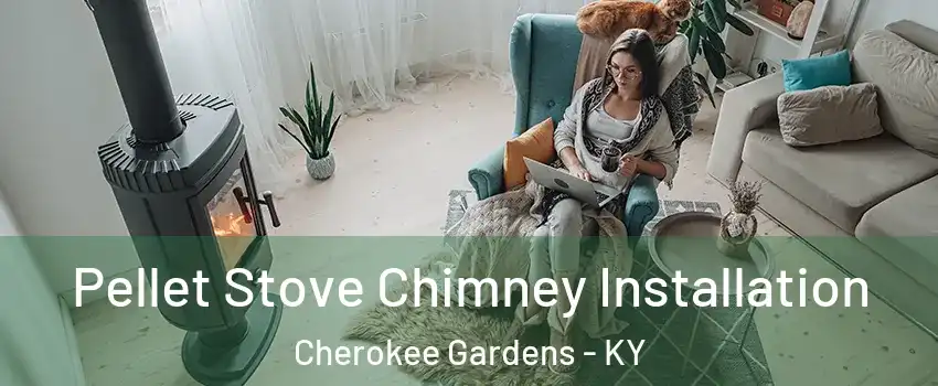 Pellet Stove Chimney Installation Cherokee Gardens - KY
