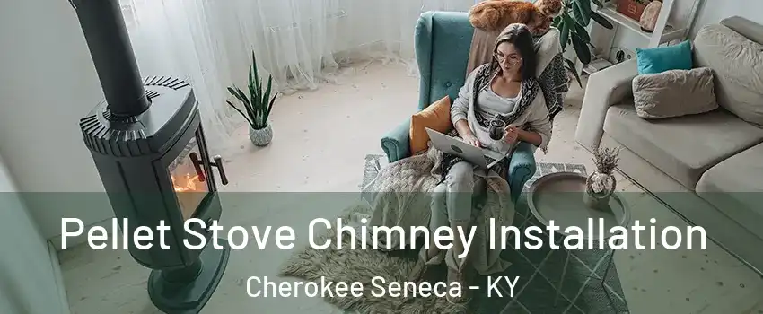 Pellet Stove Chimney Installation Cherokee Seneca - KY