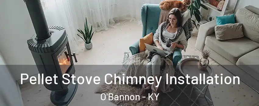 Pellet Stove Chimney Installation O'Bannon - KY