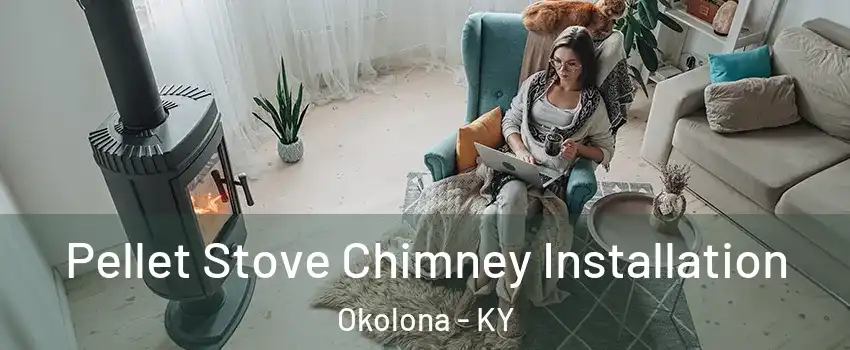 Pellet Stove Chimney Installation Okolona - KY