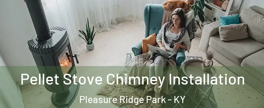 Pellet Stove Chimney Installation Pleasure Ridge Park - KY