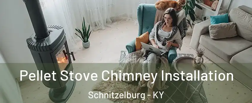 Pellet Stove Chimney Installation Schnitzelburg - KY