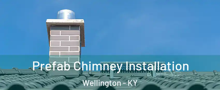 Prefab Chimney Installation Wellington - KY