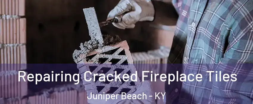 Repairing Cracked Fireplace Tiles Juniper Beach - KY