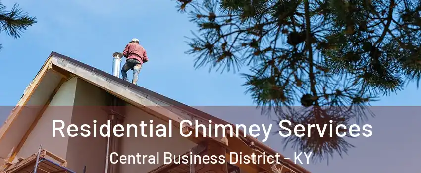 Residential Chimney Services Central Business District - KY
