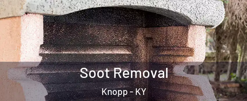 Soot Removal Knopp - KY