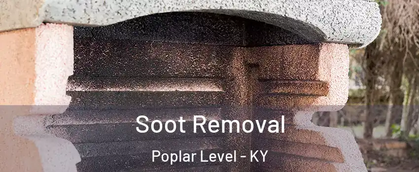 Soot Removal Poplar Level - KY