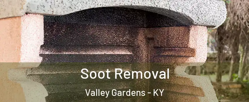 Soot Removal Valley Gardens - KY