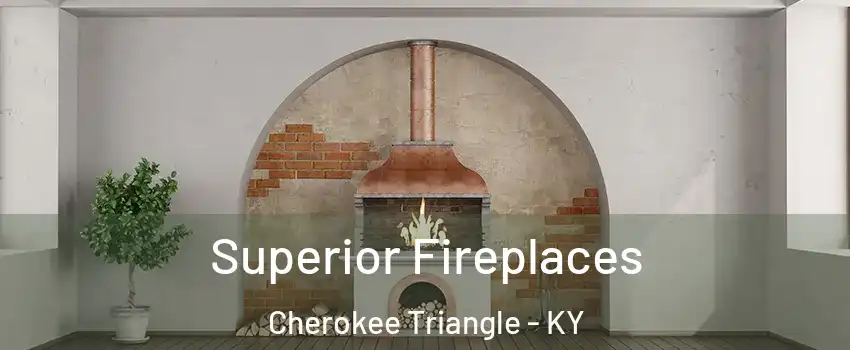 Superior Fireplaces Cherokee Triangle - KY