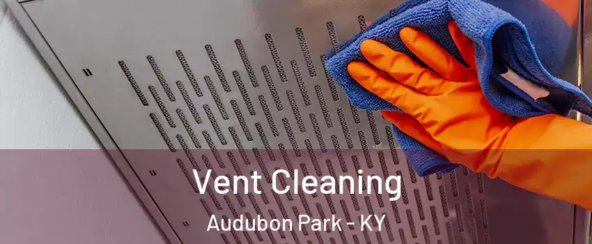 Vent Cleaning Audubon Park - KY