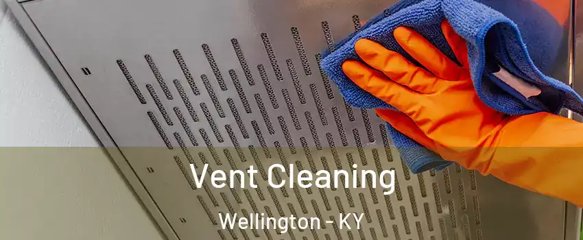 Vent Cleaning Wellington - KY