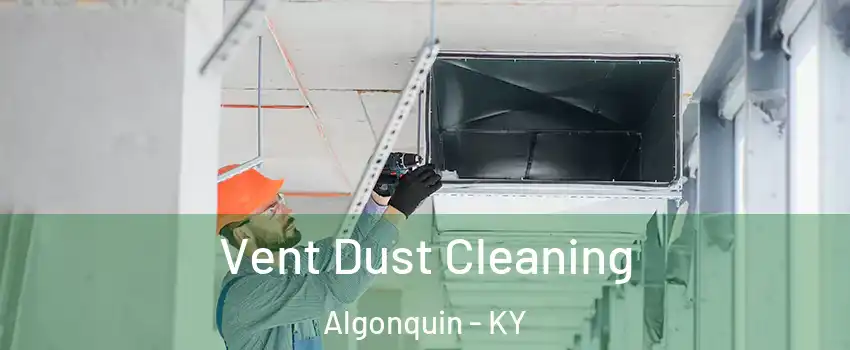 Vent Dust Cleaning Algonquin - KY