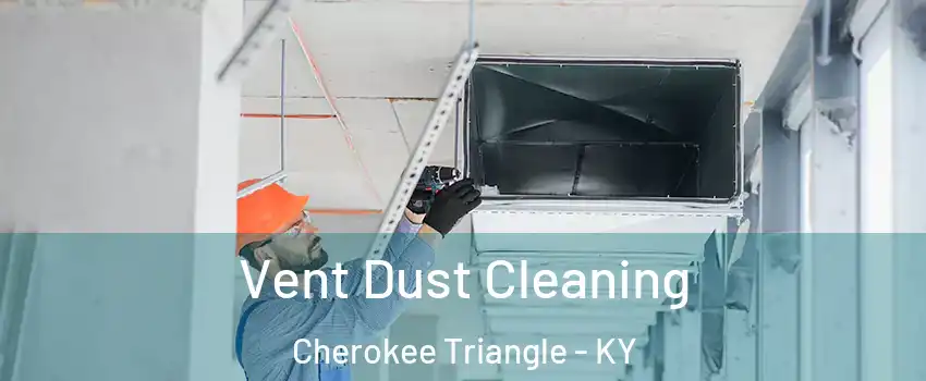 Vent Dust Cleaning Cherokee Triangle - KY