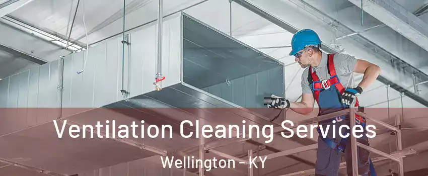 Ventilation Cleaning Services Wellington - KY