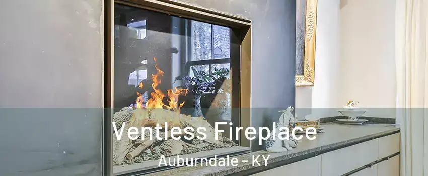 Ventless Fireplace Auburndale - KY