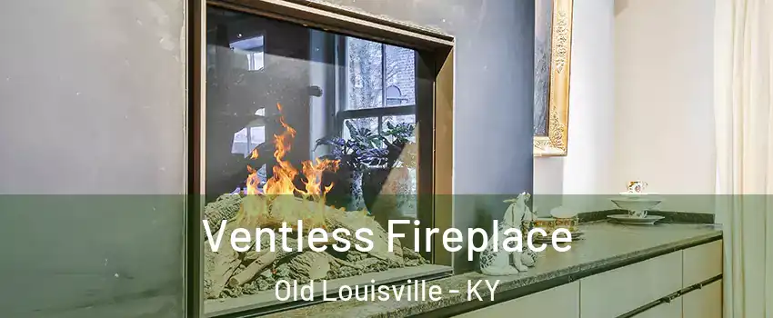 Ventless Fireplace Old Louisville - KY