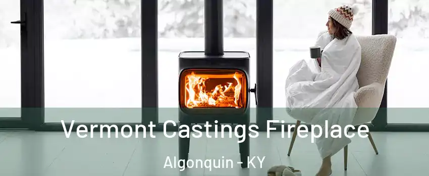 Vermont Castings Fireplace Algonquin - KY