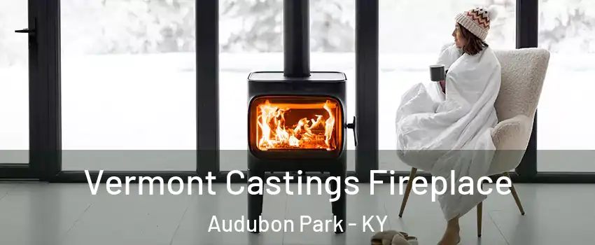 Vermont Castings Fireplace Audubon Park - KY
