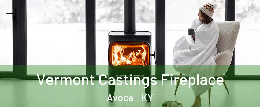Vermont Castings Fireplace Avoca - KY
