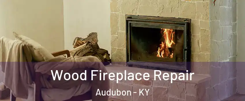 Wood Fireplace Repair Audubon - KY