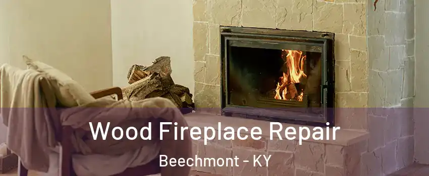 Wood Fireplace Repair Beechmont - KY