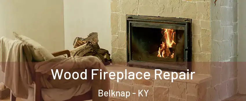 Wood Fireplace Repair Belknap - KY