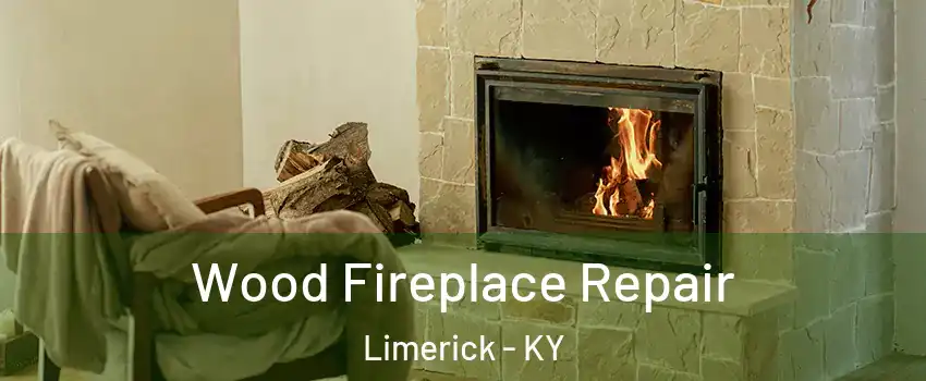 Wood Fireplace Repair Limerick - KY