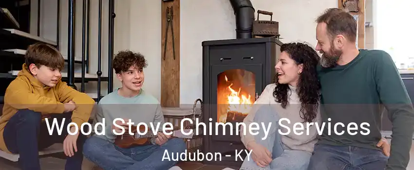Wood Stove Chimney Services Audubon - KY