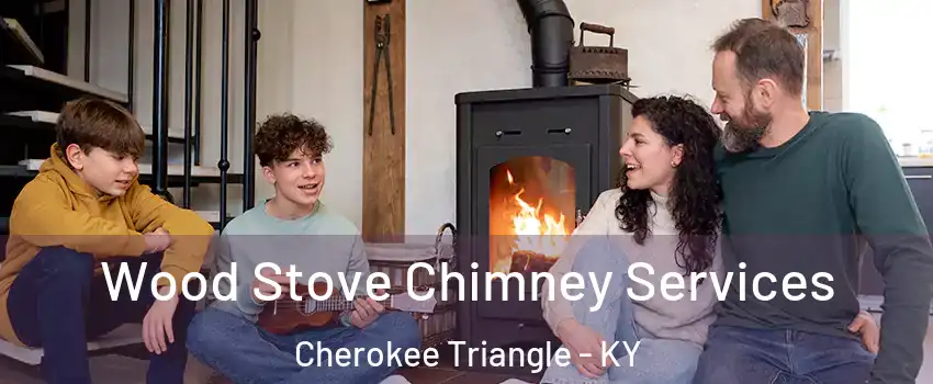Wood Stove Chimney Services Cherokee Triangle - KY