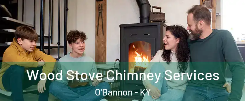 Wood Stove Chimney Services O'Bannon - KY