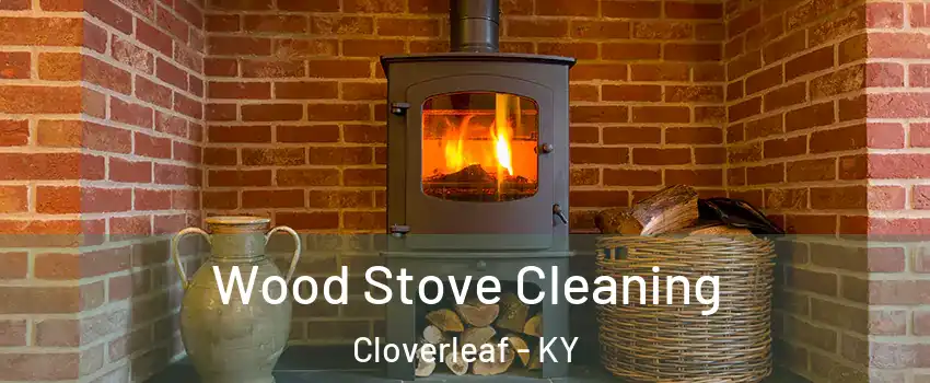 Wood Stove Cleaning Cloverleaf - KY