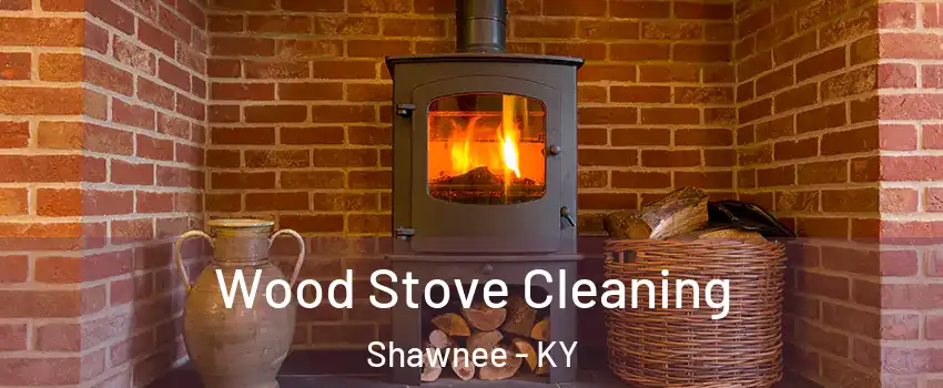 Wood Stove Cleaning Shawnee - KY