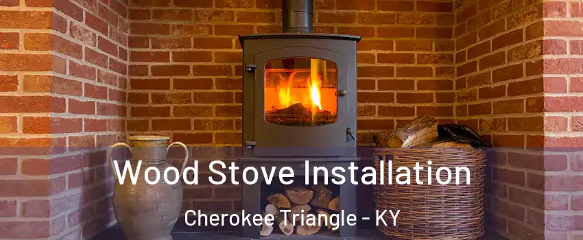 Wood Stove Installation Cherokee Triangle - KY