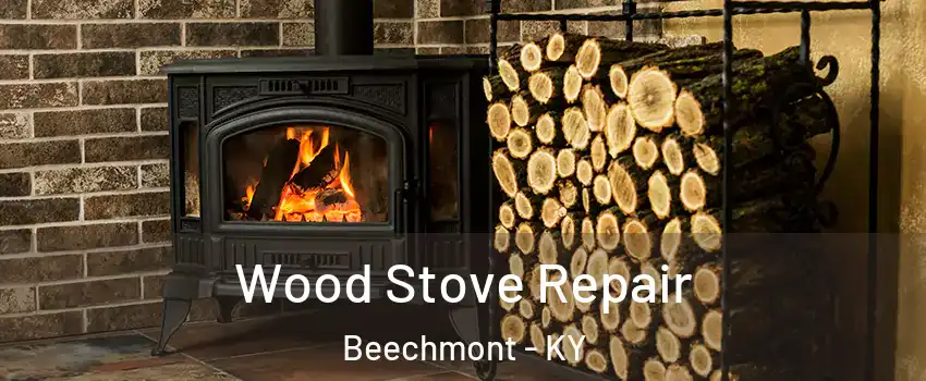 Wood Stove Repair Beechmont - KY