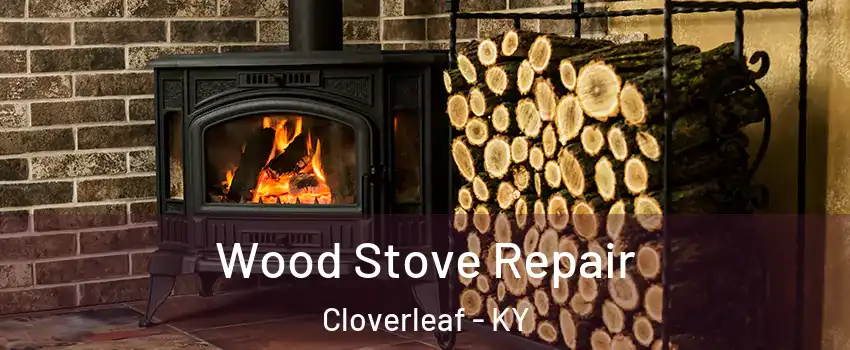 Wood Stove Repair Cloverleaf - KY