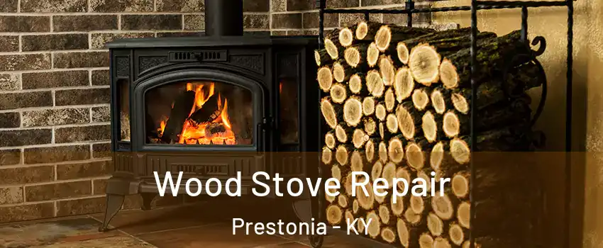 Wood Stove Repair Prestonia - KY