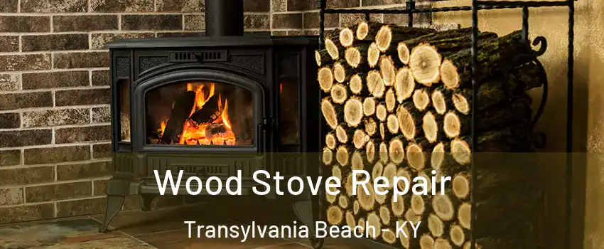 Wood Stove Repair Transylvania Beach - KY